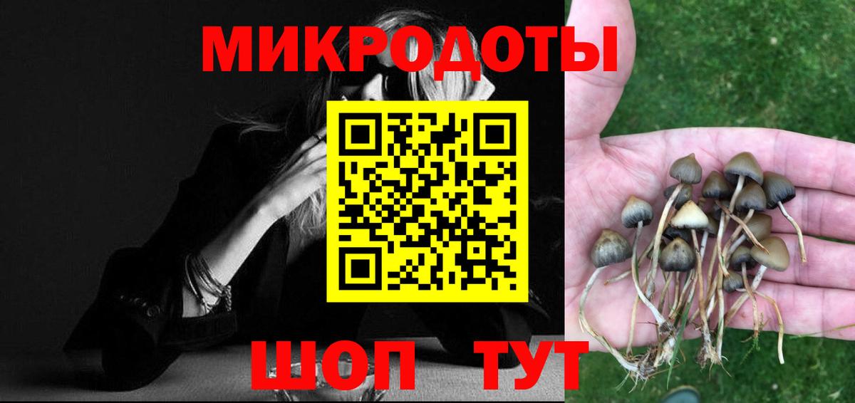 хочу   Галлюциногенные грибы ЛСД  Нерюнгри  Вход с VPN  Псилоцибиновые грибы MAGIC MUSHROOMS 